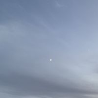 RINGEX PLASTER - 22​.​2: Digital Pianist's 30+ Hours Relaxation Improvisation For You