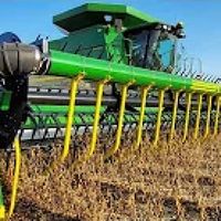 RINGEX PLASTER - 17​.​2: First Day of Harvest