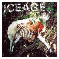 Iceage - Iceage