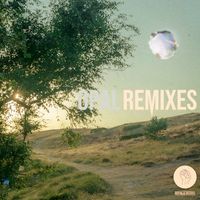 Snavs - Opal (Remixes)