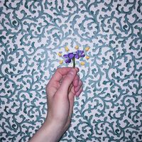 Charlie Burg - One, Violet