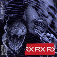 Jeune Loup - RX