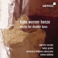 Orchestra Sinfonica Abruzzese / Ludus Gravis / Tonino Battista / Daniele Roccato - Works for Double Bass