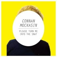 Connan Mockasin - Please Turn Me Into the Snat