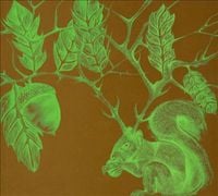 7 Year Rabbit Cycle - Ache Hornes