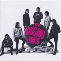 The Missing Links - The Missing Links