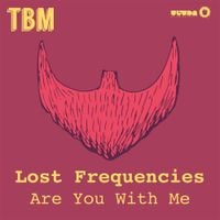 Lost Frequencies - Are You With Me