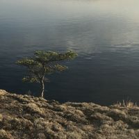 Aleksi Per&auml;l&auml; - Midnight Sun 4 B