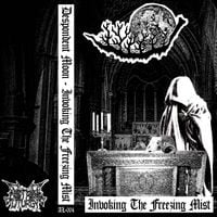 Despondent Moon - Invoking the Freezing Mist