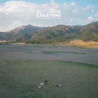 Animal Collective - Crestone (Original Score)