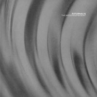 The Wedding Present - Saturnalia