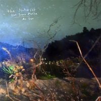 The Notwist - Al Sur