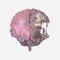 James Marriott - No Left Brain