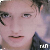 Nut - Fantanicity
