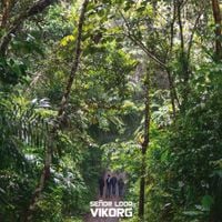 Se&ntilde;or Loop - Vikorg