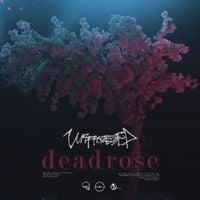 Unprocessed - deadrose