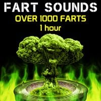 Fart Fest - Fart Sounds - Over 1000 Farts (1 Hour)