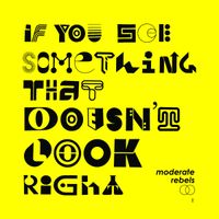 Moderate Rebels - If You See Something That Doesn't Look Right I