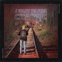 Bears In Trees - I Want to Feel Chaotic