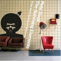Pete Rock - The Surviving Elements: From Soul Survivor II Sessions