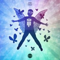 Chime - Evolve