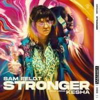 Sam Feldt - Stronger