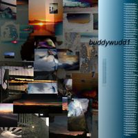 Buddywudd - buddywudd1