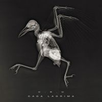 C.R.O - Cada L&aacute;grima