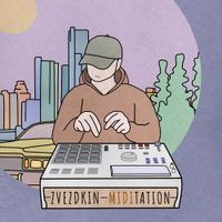 ZVEZDKIN - Miditation