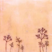 Pausal - Lapses