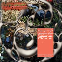 ACT! - Grey Matter AR (Snapchat Compositions [100])