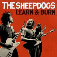 The Sheepdogs - Learn and Burn