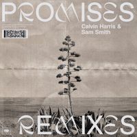 Calvin Harris - Promises (Remixes)