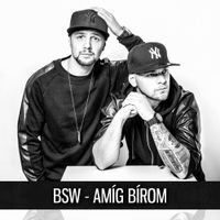 BSW - Am&iacute;g B&iacute;rom