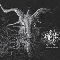 H&aring;n - Breathing the Void