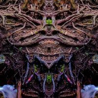 Chilldren Of Indigo - Native Alien