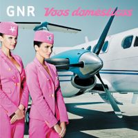 GNR - Voos Dom&eacute;sticos