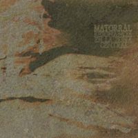 Matorral - Resonancia en la Zona Central