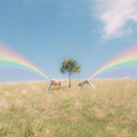 Lucy Daydream - Infinite Quest For The Rainbow Butthole