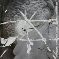 Venus Ex Machina - Lux