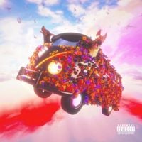 Michael Da Vinci - Roses
