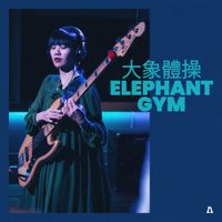 大象體操 [Elephant Gym] - Elephant Gym on Audiotree Live