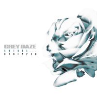 Grey Daze - Amends (Stripped)