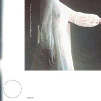 Zaumne - Dreams of Teeth Falling out