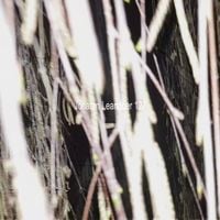 jonatan leandoer96 - Vampire Blues
