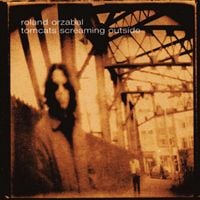 Roland Orzabal - Tomcats Screaming Outside