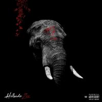 Carns Hill & Zone 2 - Hillside Zoo