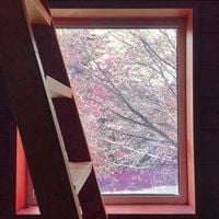 Jim O'Rourke - Steamroom 53