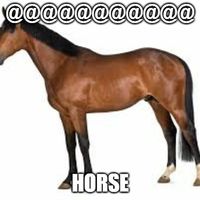 Apple Juice Box - Horse (ok)