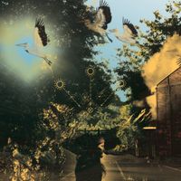 Mfp - Natural Law